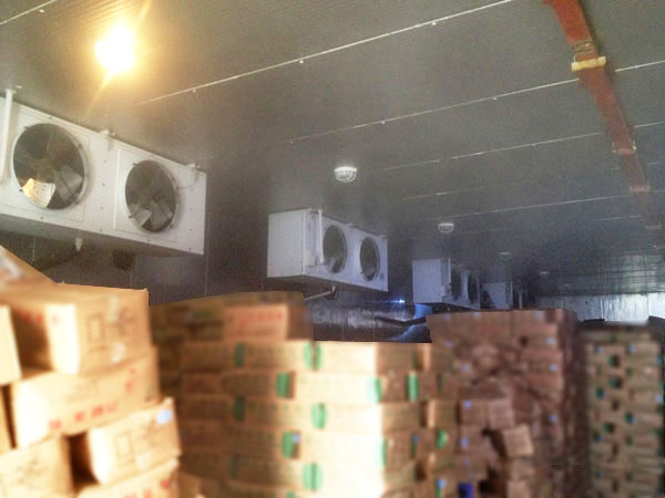 1561948712412839.jpg zhy10.jpg